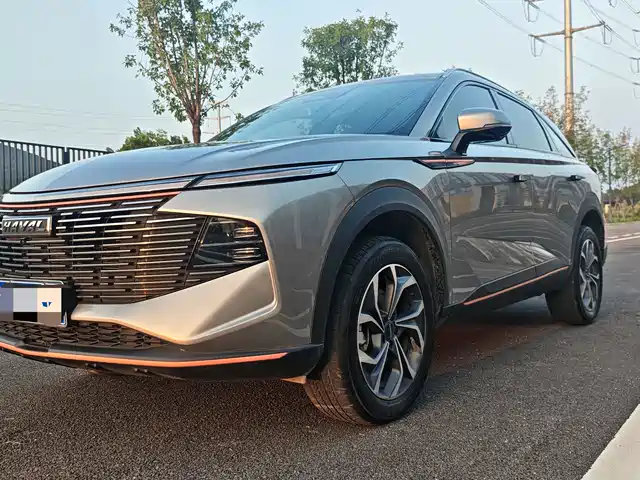 2022 Haval Shenshou