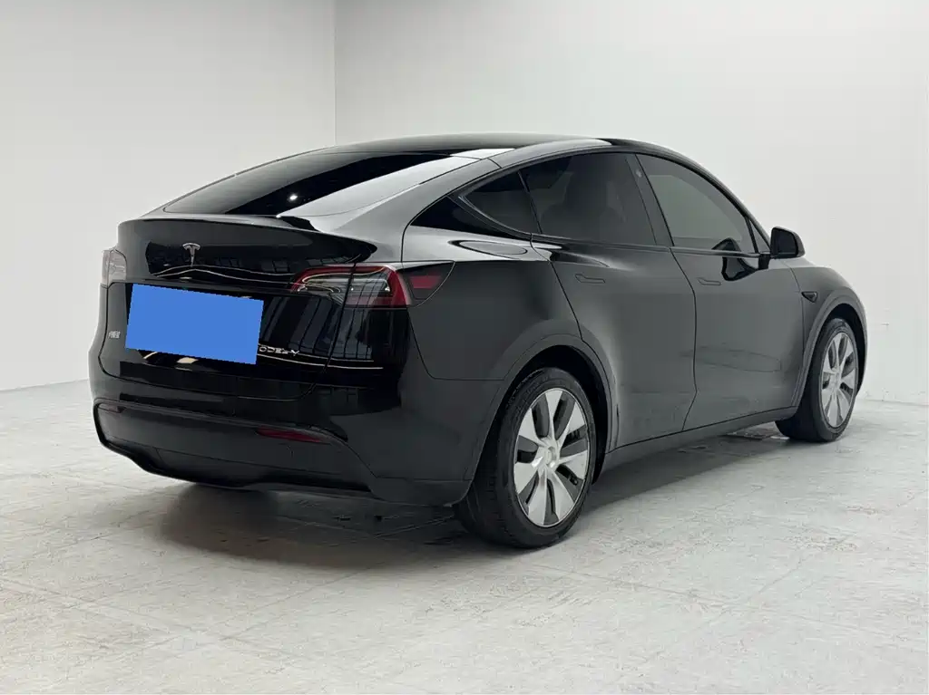 Tesla Model Y — миниатюра 4