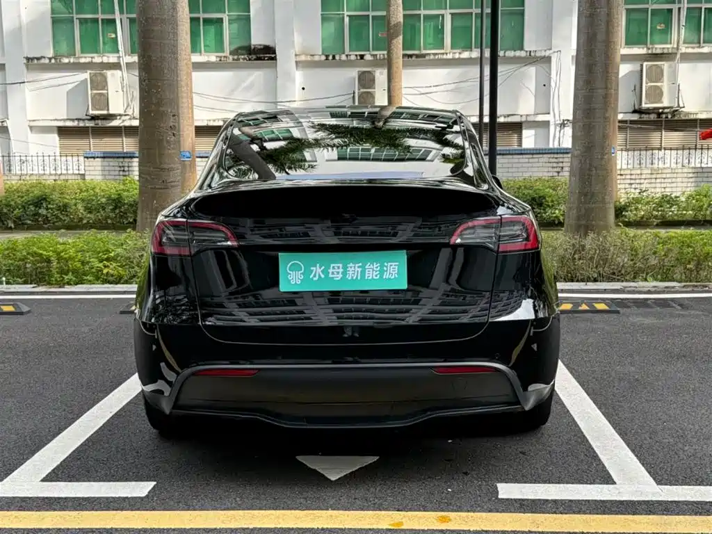 Tesla Model Y — миниатюра 7