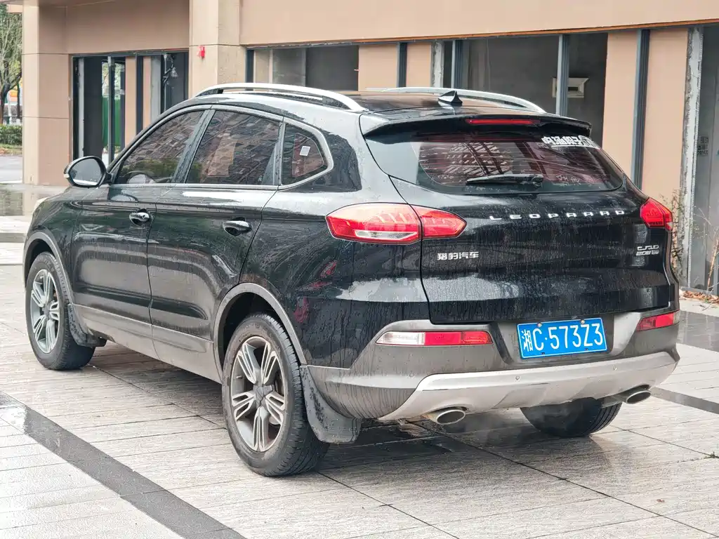 CHEETAH CARS CHEETAH CS10