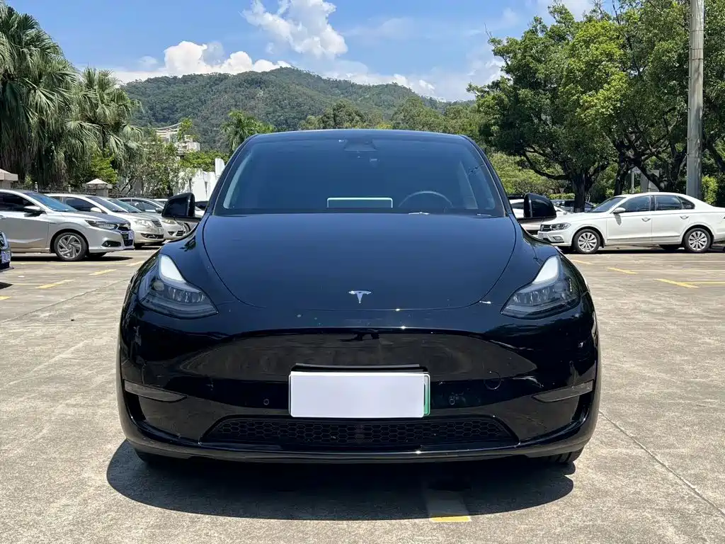 Tesla Model Y — миниатюра 2