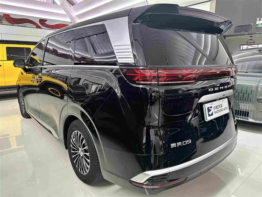 Denza Denza D9 — миниатюра 18