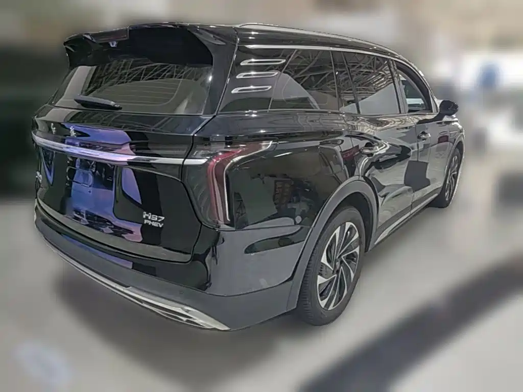 Hongqi Hongqi HS7 — миниатюра 10