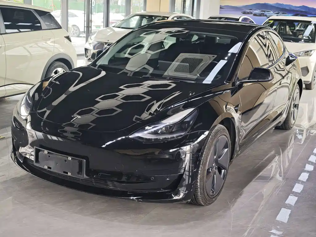 Tesla Model 3 2021