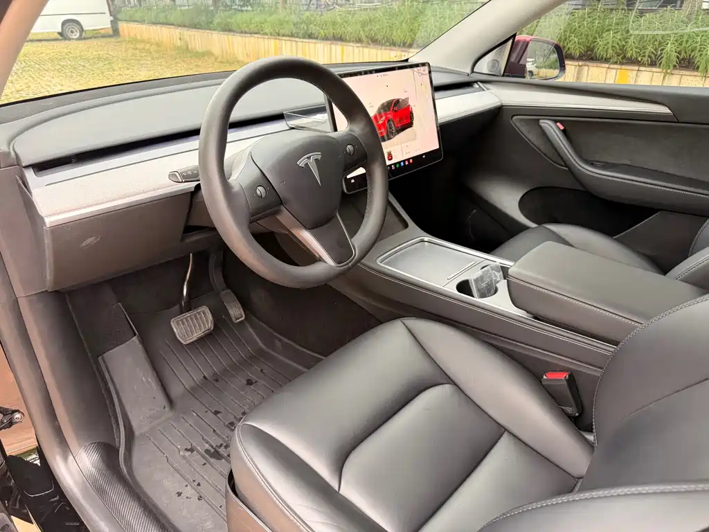 Tesla Model Y — миниатюра 8