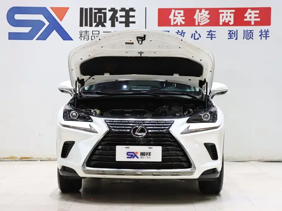 Lexus NX — миниатюра 17