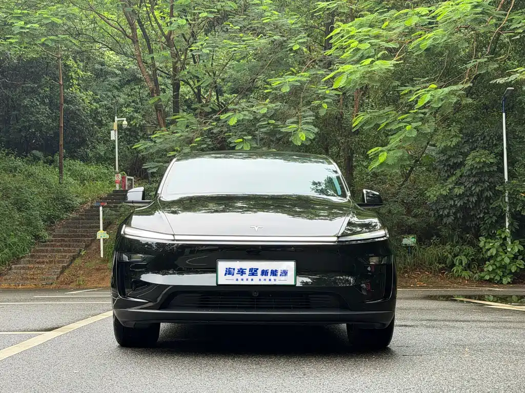 Tesla Model Y — миниатюра 4