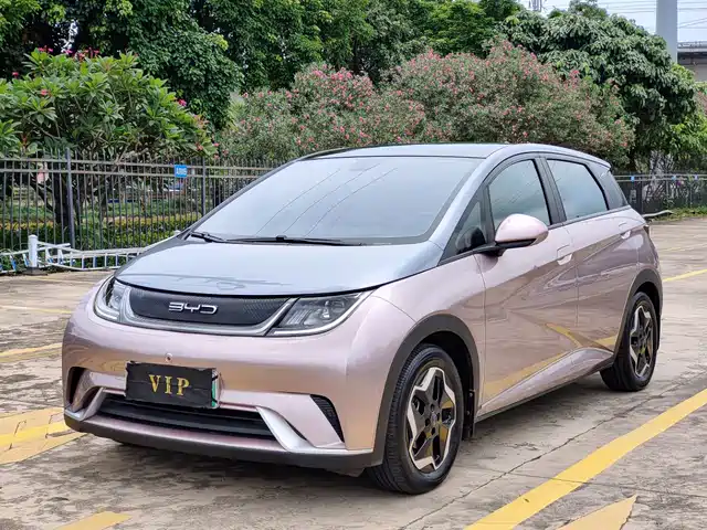 2022 BYD Dolphin