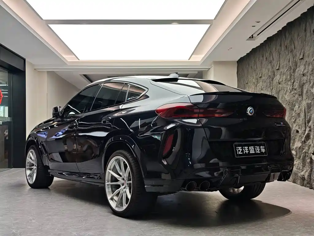 BMW X6 M — миниатюра 22