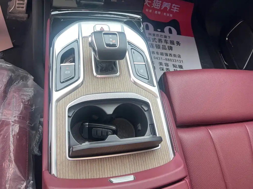 Hongqi Hongqi E-HS9 - фото 14