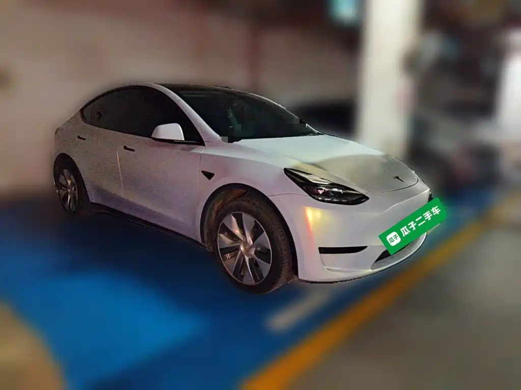 Tesla Model Y — миниатюра 25