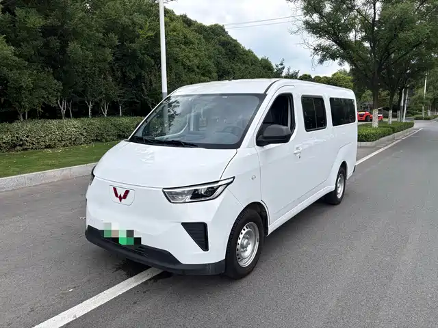 2024 Wuling Motors Yangguang
