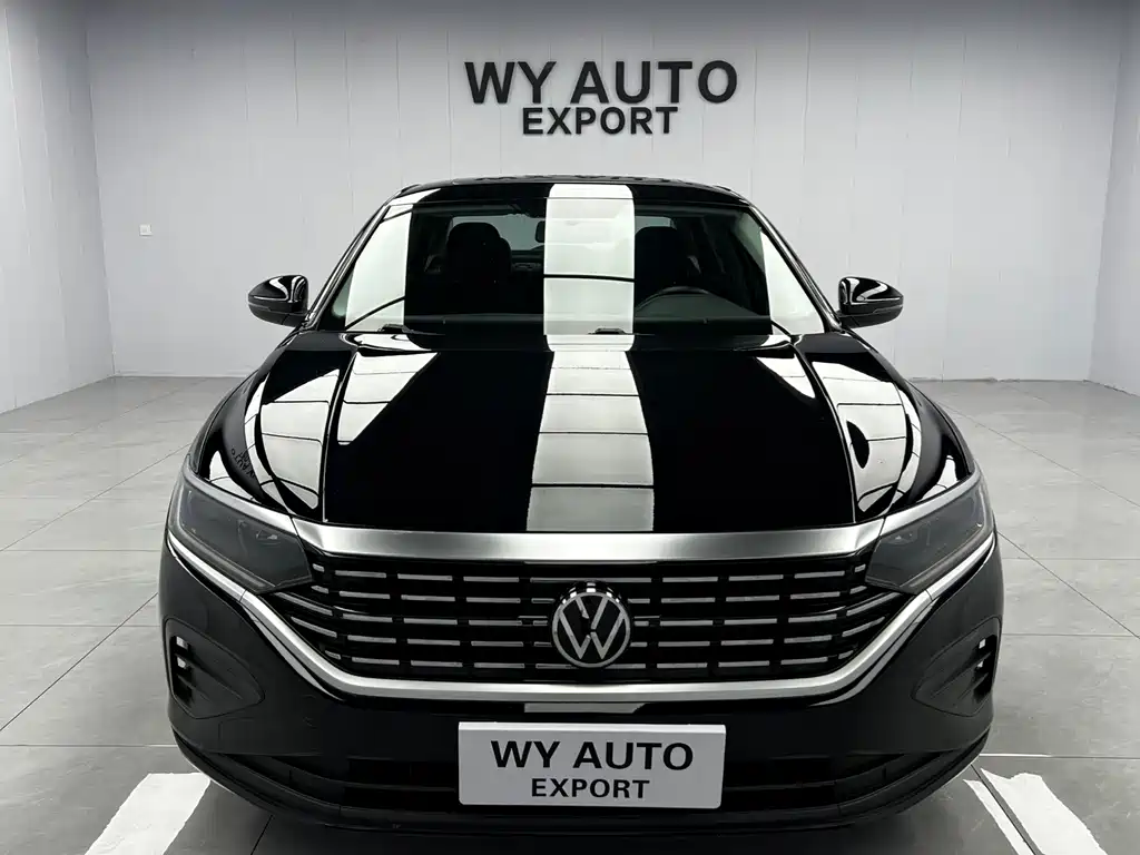Volkswagen Passat — миниатюра 2