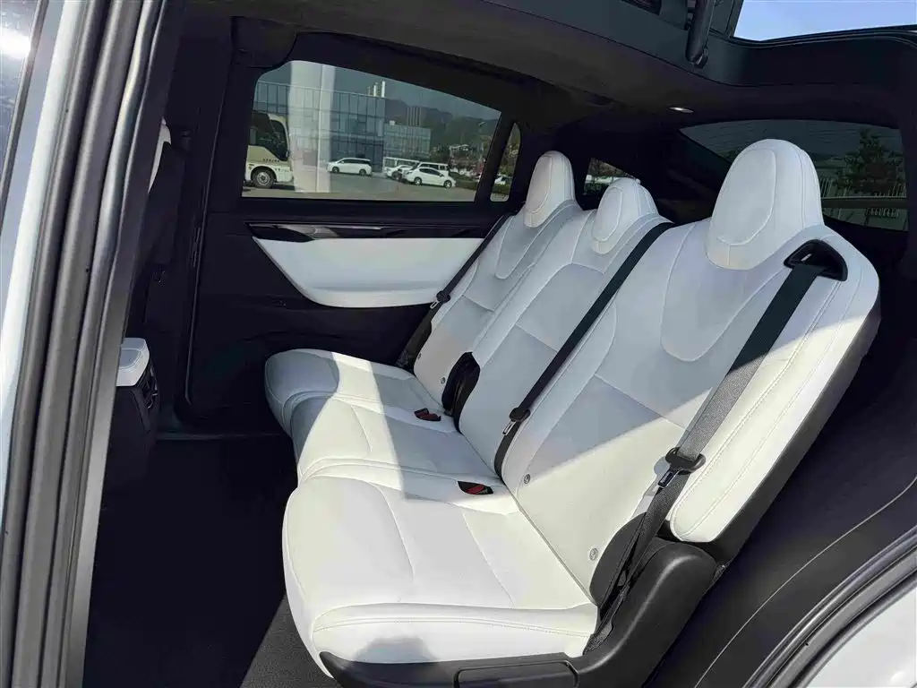 Tesla Model X — миниатюра 13