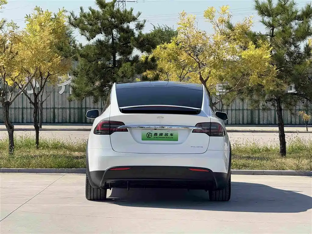 Tesla Model X — миниатюра 26