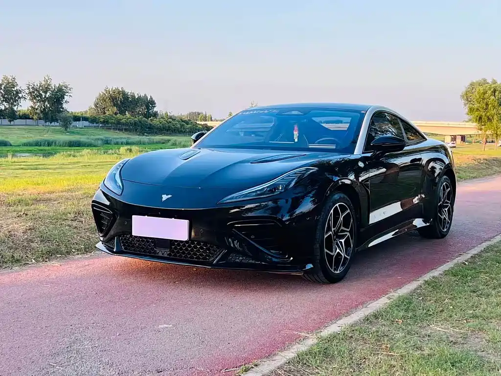 Neta Neta GT