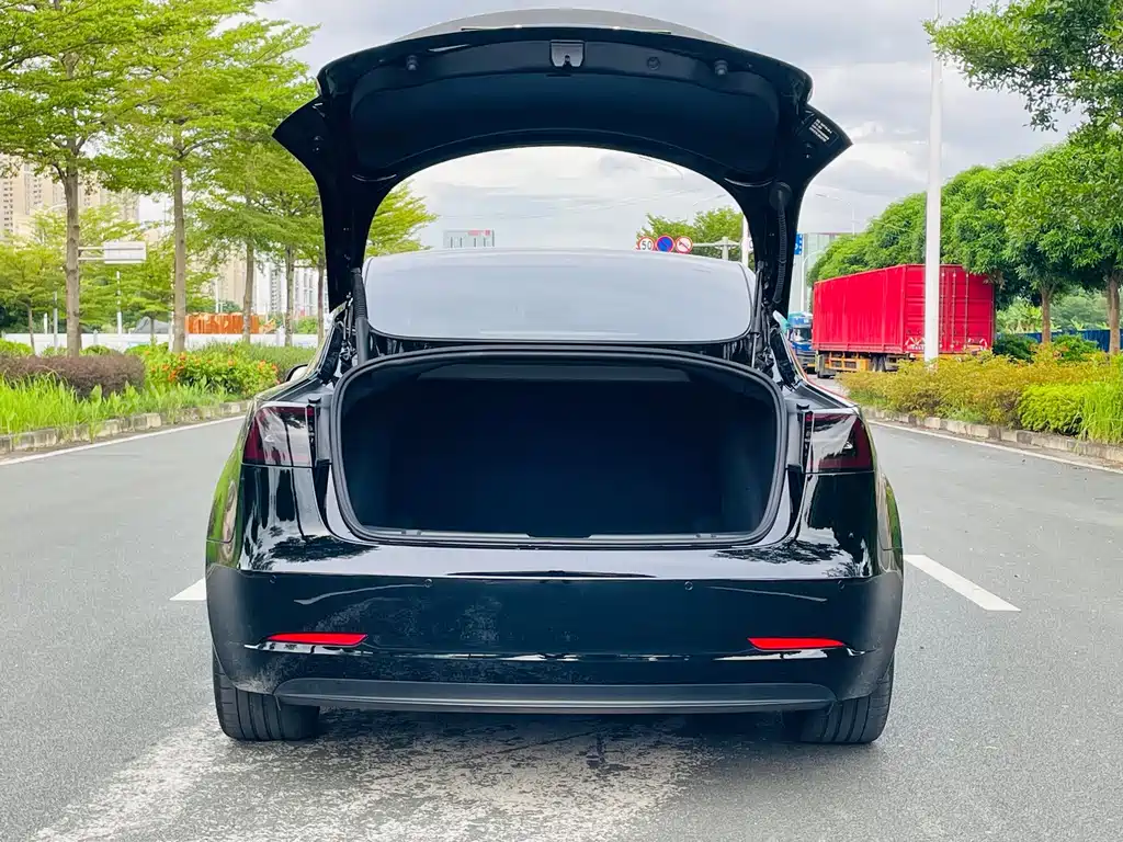 Tesla Model 3 — миниатюра 9
