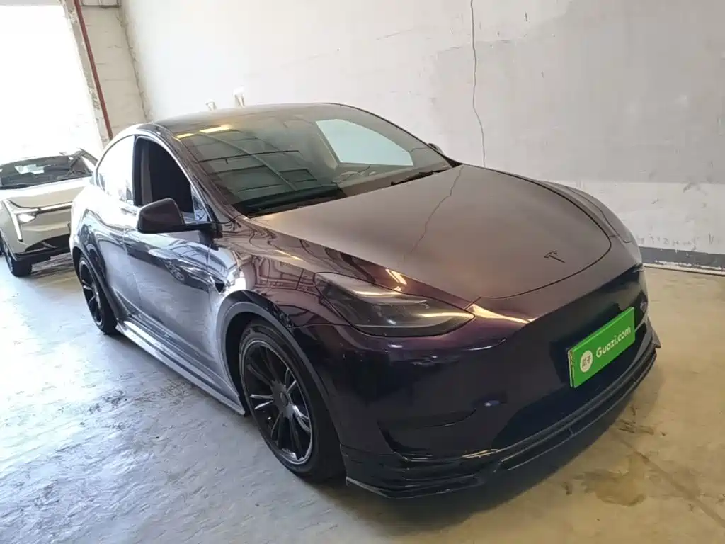 Tesla Model Y — миниатюра 4