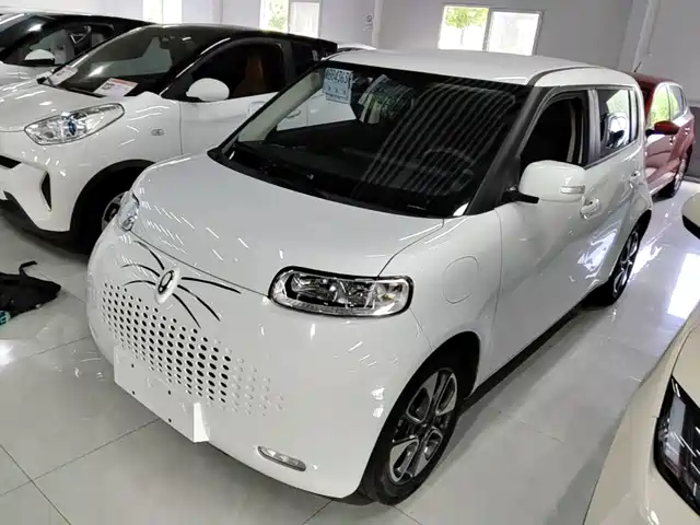 2022 Ora R2/White Cat