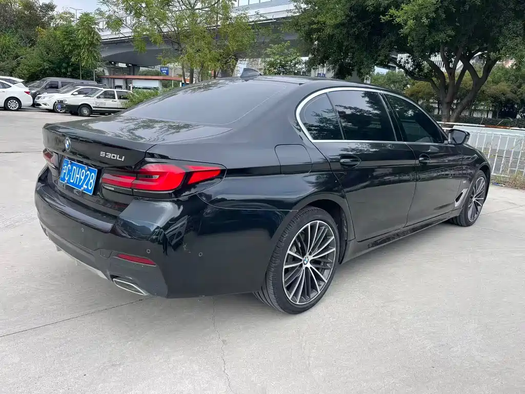 BMW 5 Series — миниатюра 5