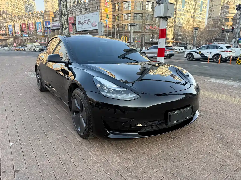 Tesla Model 3 — миниатюра 3