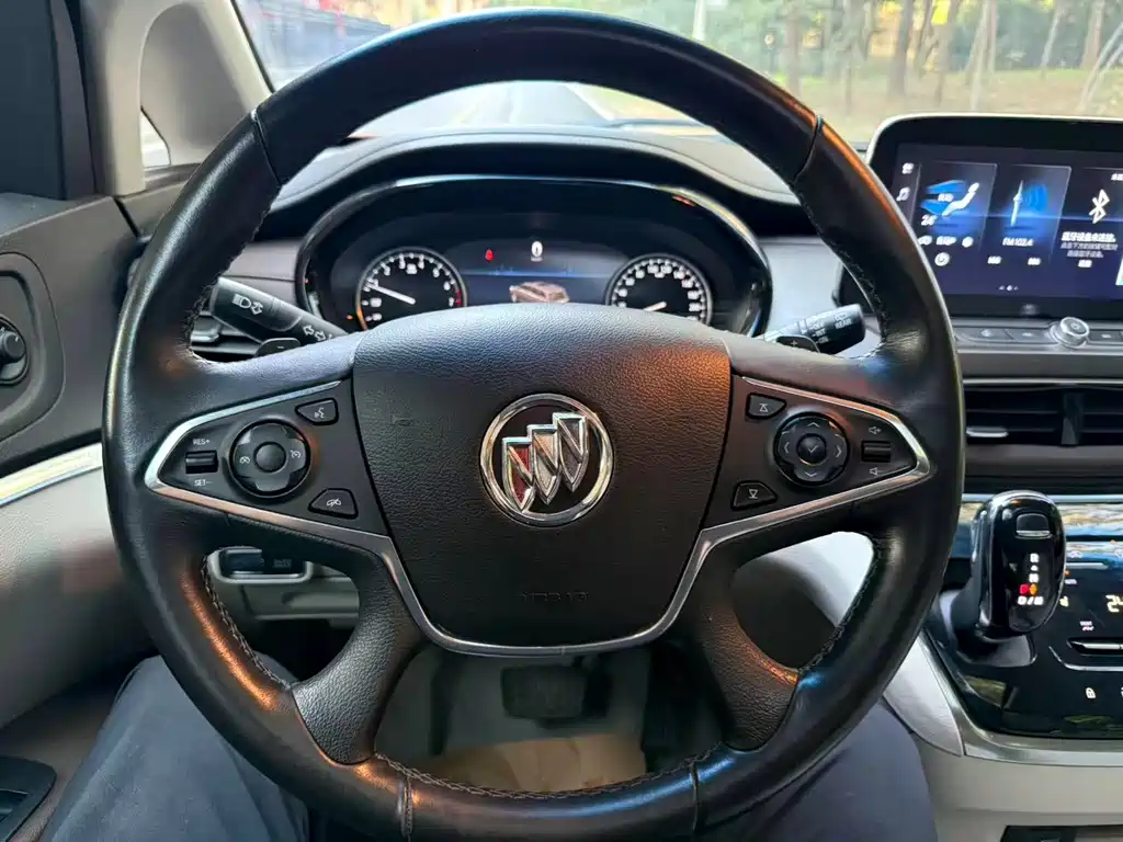 Buick GL8 — миниатюра 11