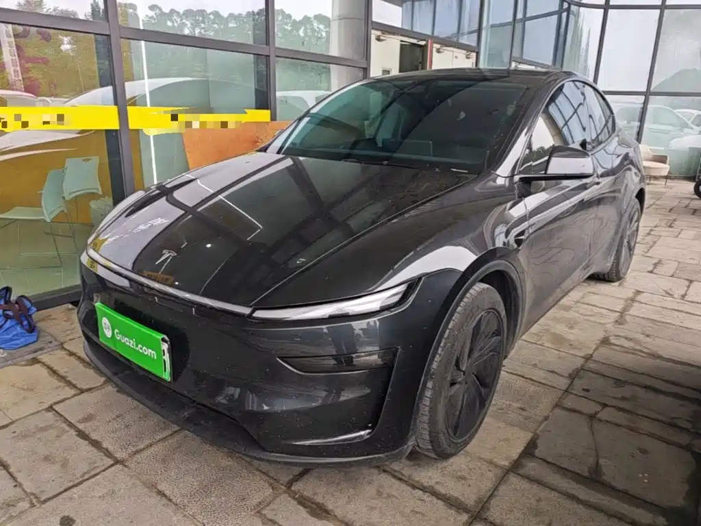 Tesla Model Y — миниатюра 2