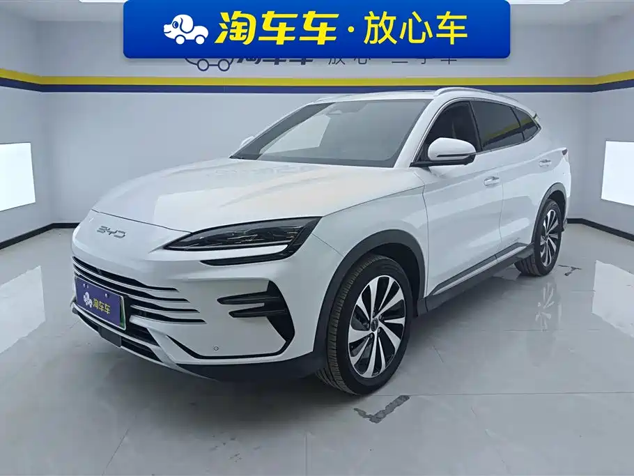Byd PLUS New Energy 2024