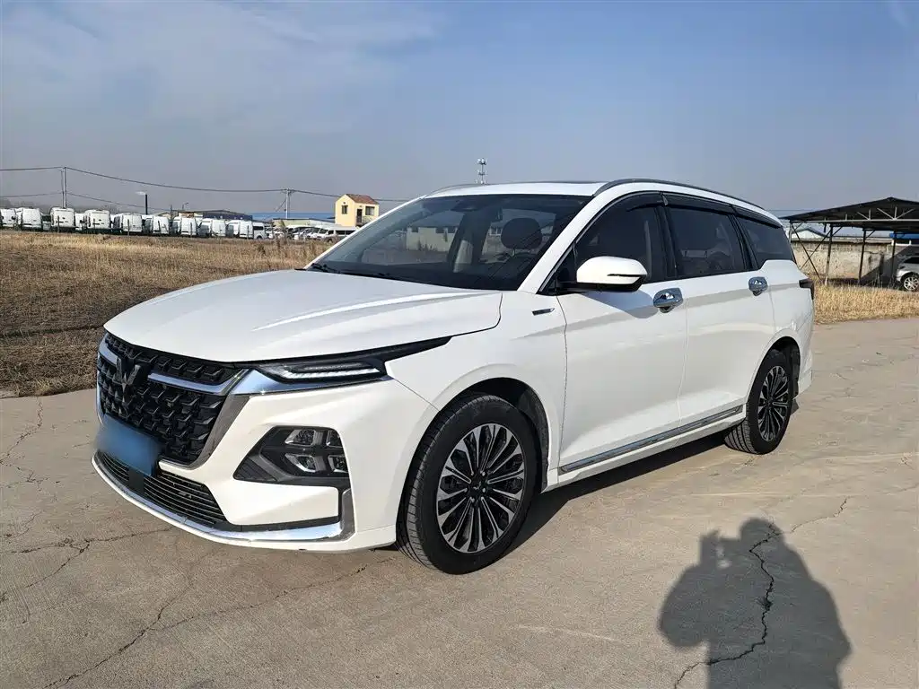 Wuling Victory 2024