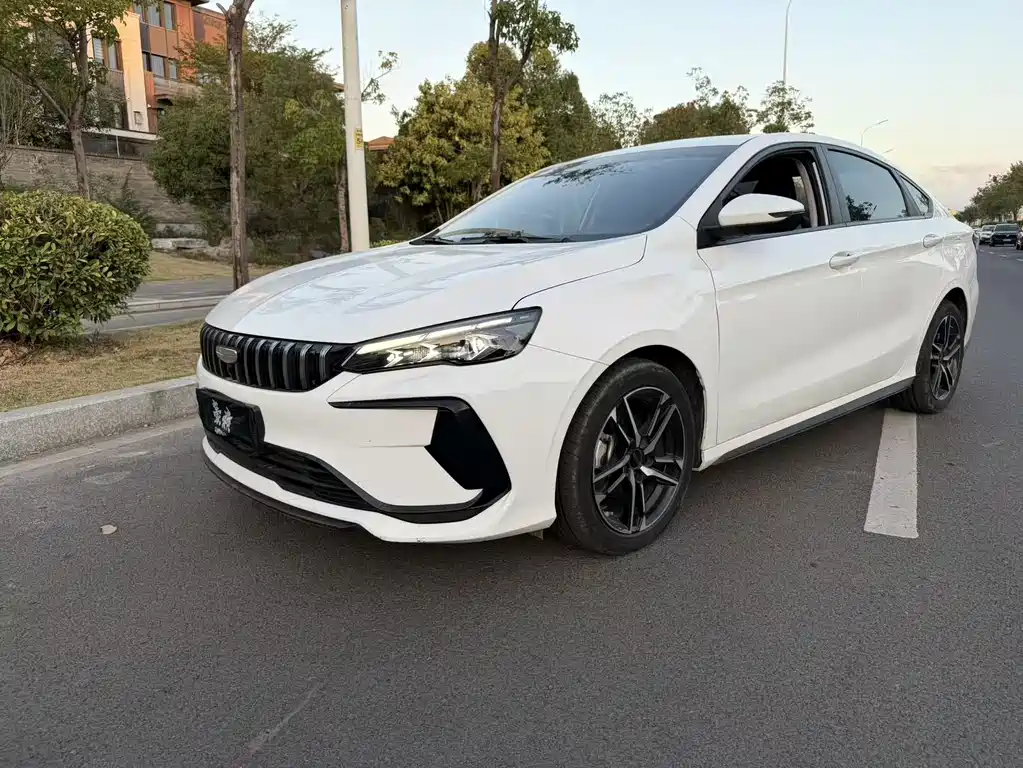 GEELY AUTOMOBILE BINRUI