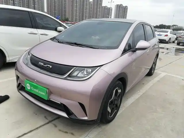 2022 BYD Dolphin