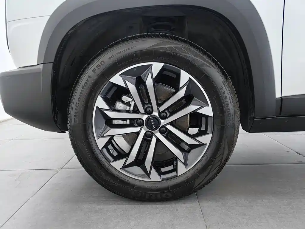 Haval Big Dog — миниатюра 17