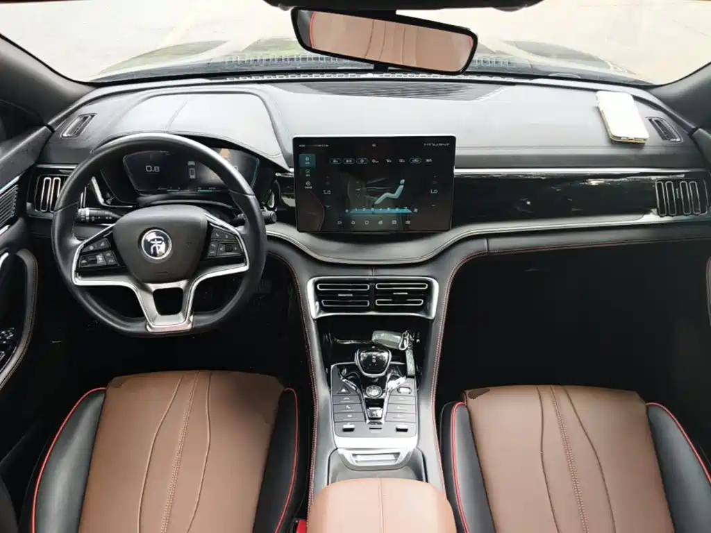 BYD PLUS — миниатюра 10