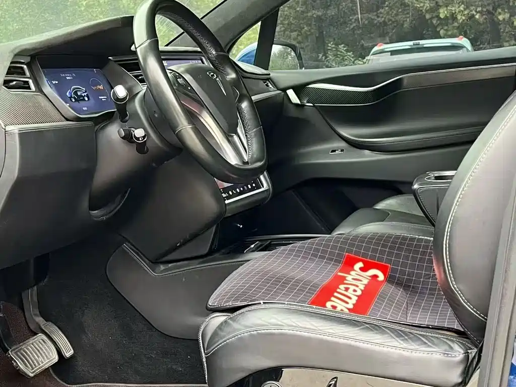 TESLA MODEL X