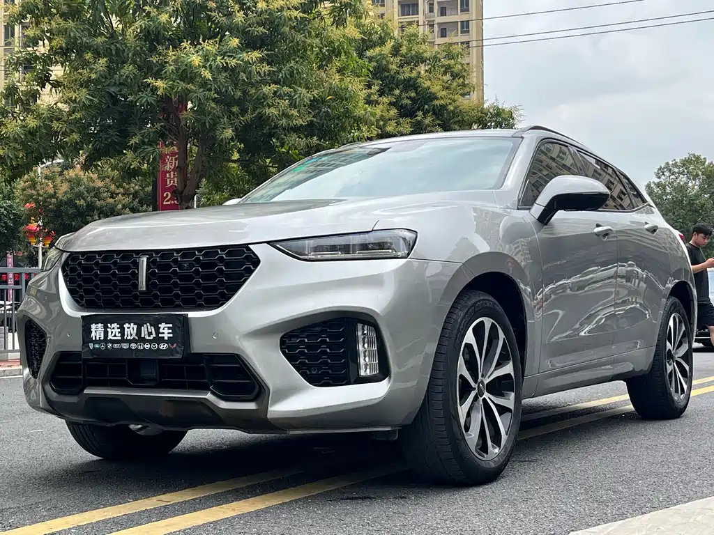 WEI PAI WEI BRAND VV7