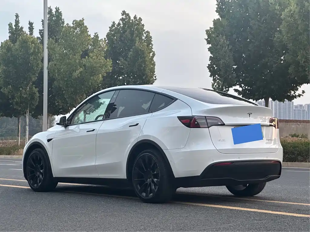 Tesla Model Y — миниатюра 7
