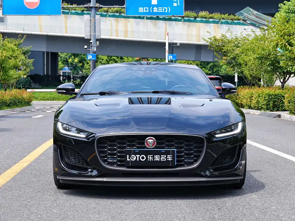 Jaguar F-TYPE — миниатюра 2