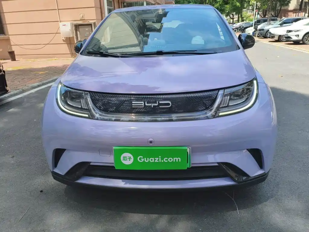 BYD Dolphin — миниатюра 24