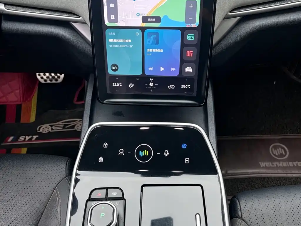 WM Motor EX5 — миниатюра 11