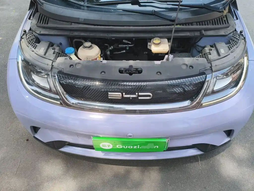 BYD Dolphin — миниатюра 11