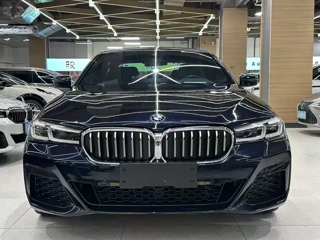 BMW 5 Series — миниатюра 2