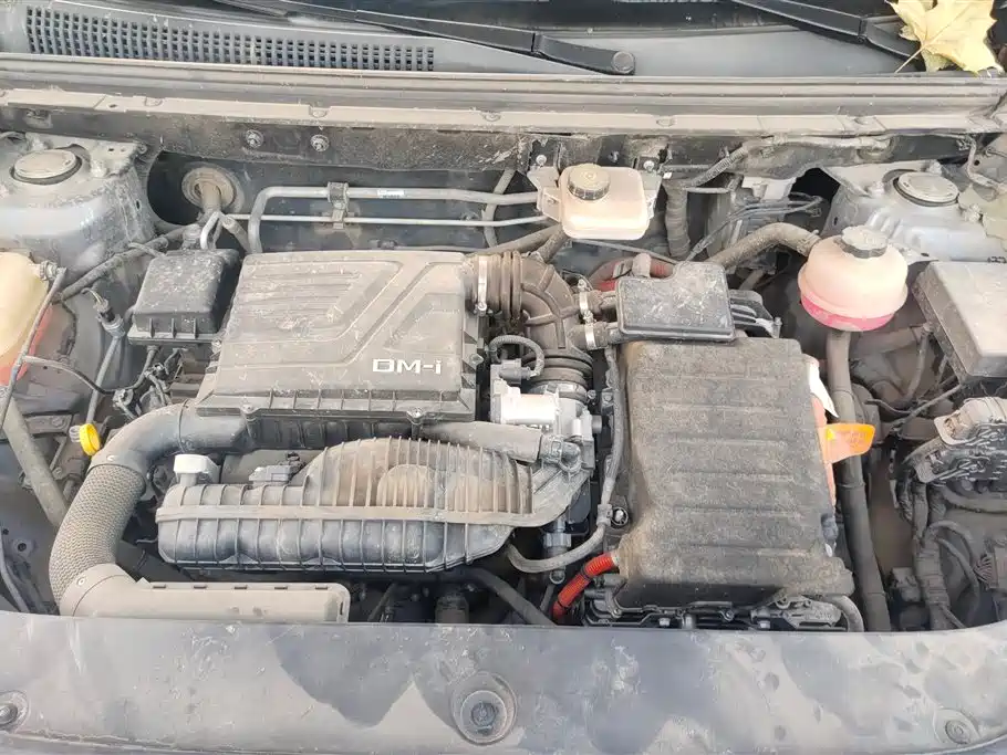 BYD SONGJIANG NEW ENERGY