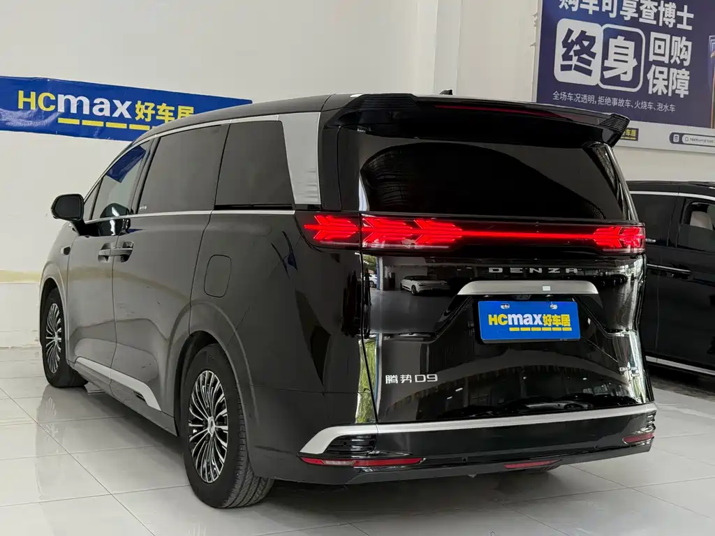 Denza Denza D9 — миниатюра 4