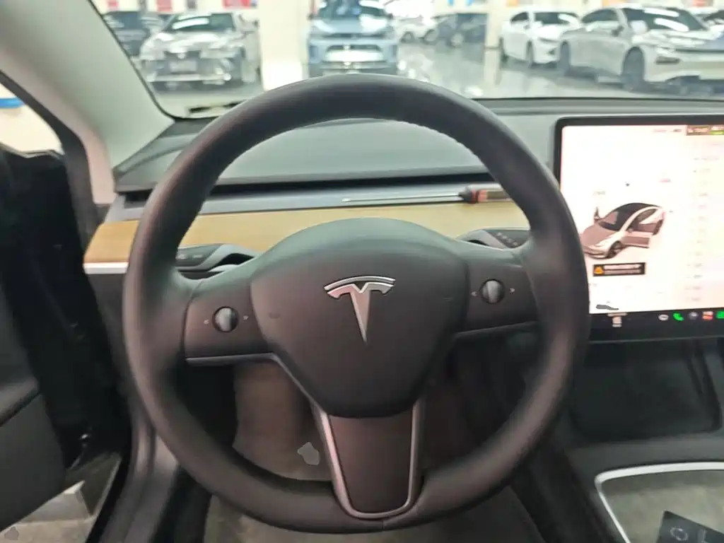 Tesla Model 3 — миниатюра 11
