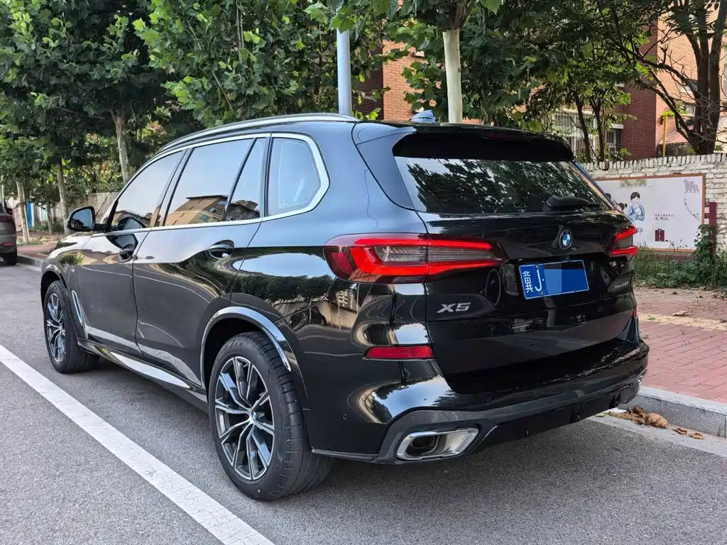 BMW X5 2022 xDrive 30Li M Sport