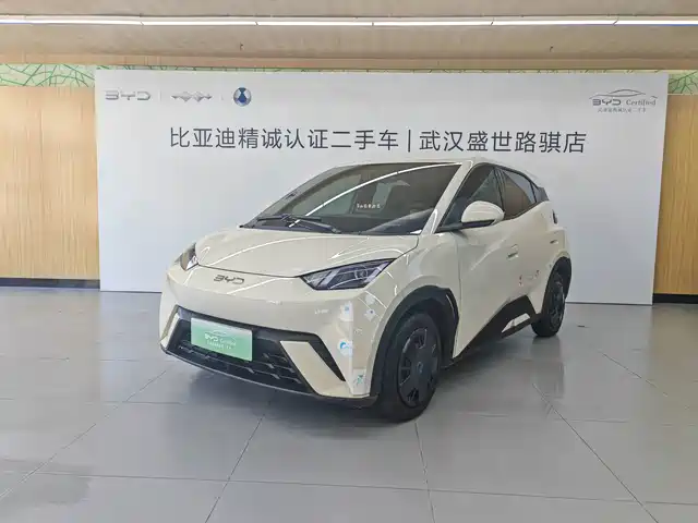 2024 BYD Seagull