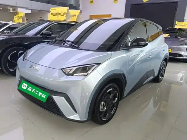 2024 BYD Seagull