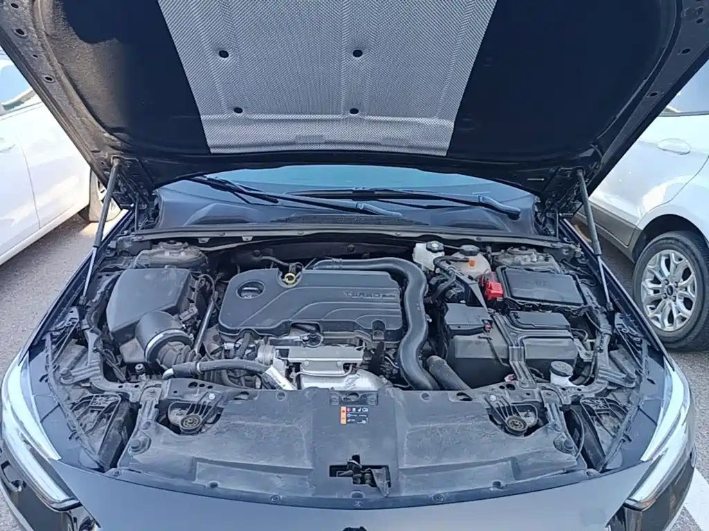 Buick Regal — миниатюра 20