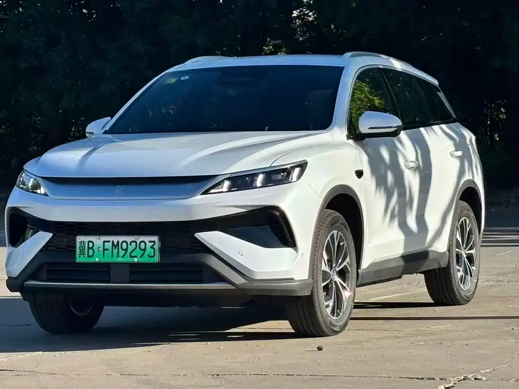 BYD Pro New Energy