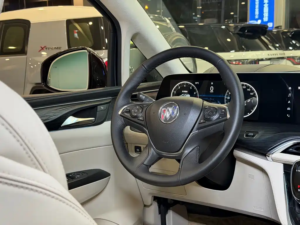 Buick GL8 — миниатюра 17